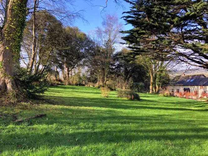 Communal Garden at Bellair House